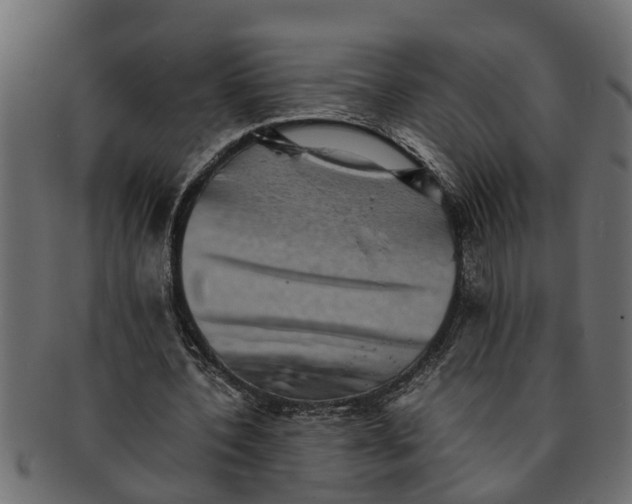 X0000091550532200709071219