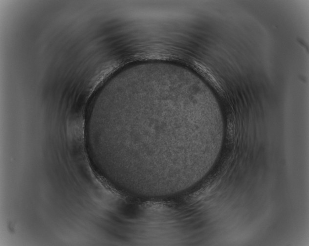 X0000091550534200709071219