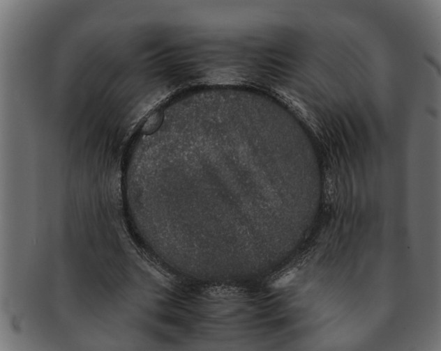 X0000091550535200709071219