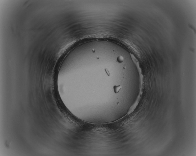 X0000091550536200709071219