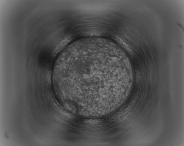 X0000091550537200709071219