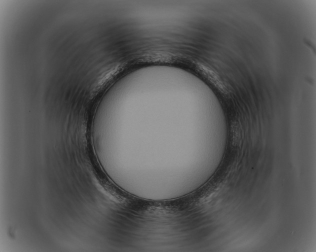 X0000091550538200709071219