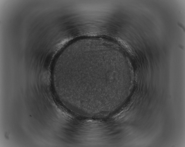 X0000091550540200709071219