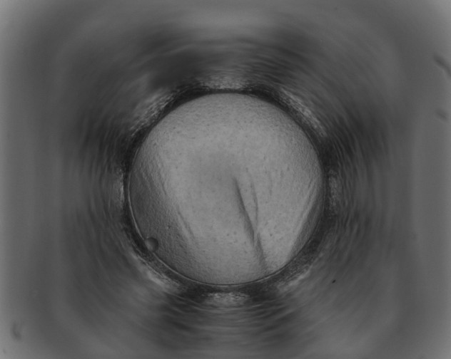 X0000091550541200709071219