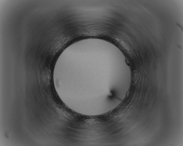 X0000091550544200709071219