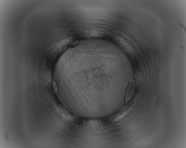 X0000091550546200709071219
