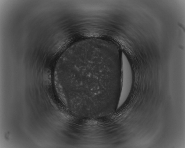 X0000091550547200709071219