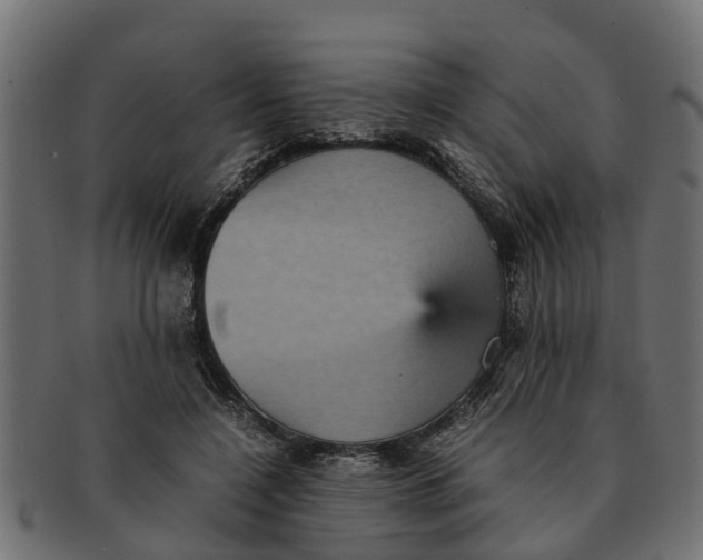 X0000091550548200709071219