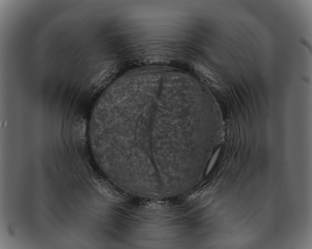 X0000091550550200709071219