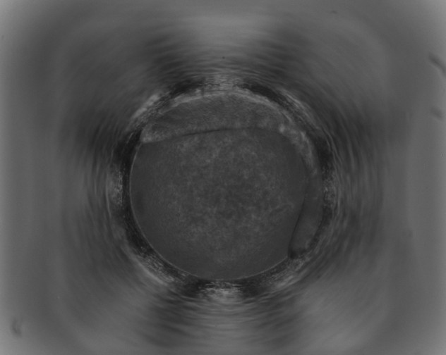 X0000091550552200709071219