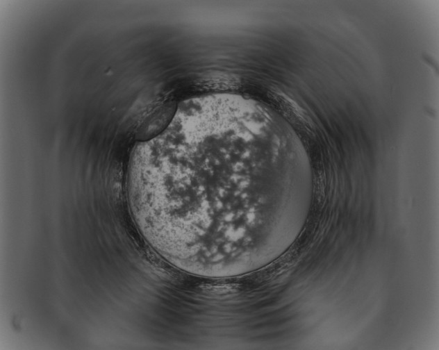 X0000091550553200709071219