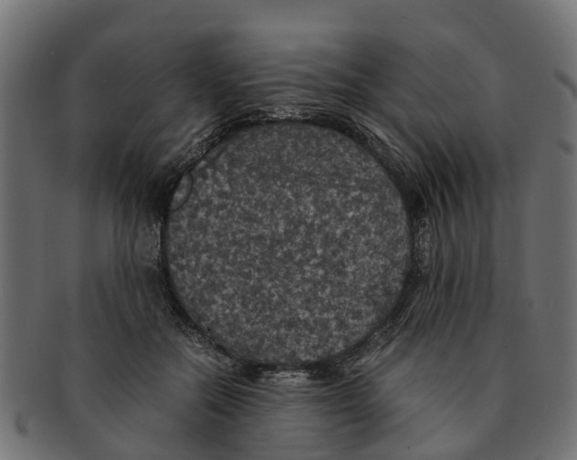 X0000091550554200709071219