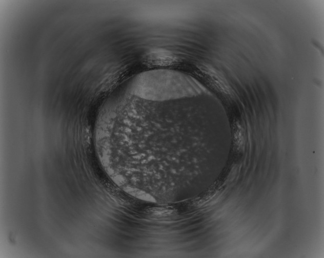 X0000091550555200709071219