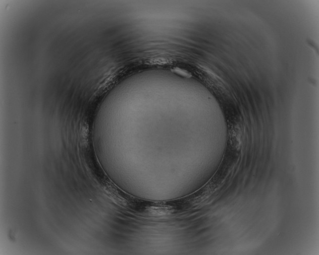 X0000091550556200709071219