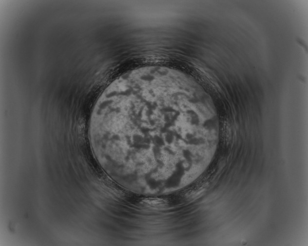 X0000091550557200709071219