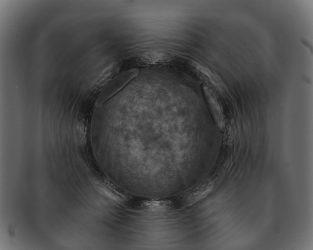 X0000091550558200709071219