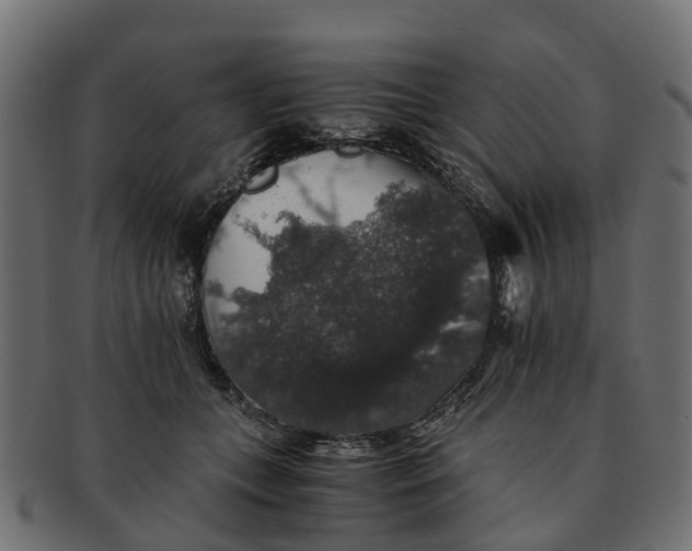 X0000091550559200709071219