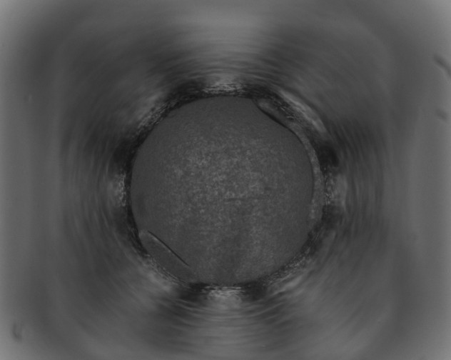 X0000091550560200709071219
