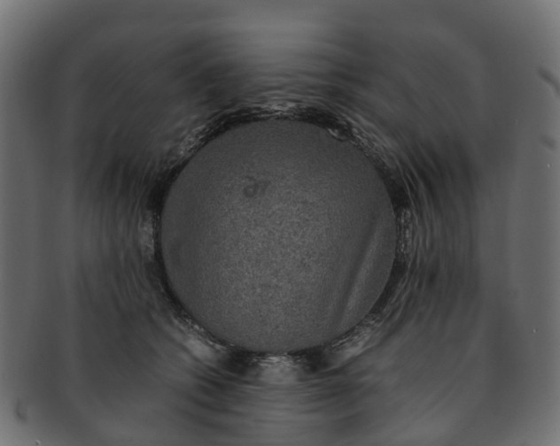 X0000091550562200709071219