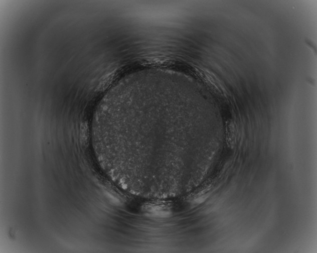 X0000091550563200709071219