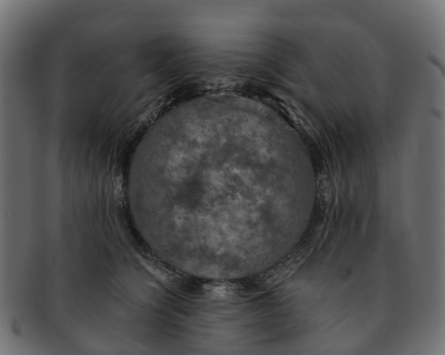 X0000091550564200709071219