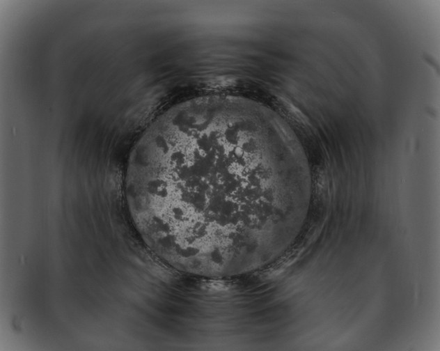X0000091550565200709071219