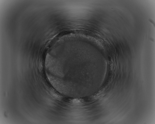 X0000091550566200709071219