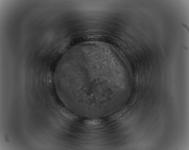 X0000091550567200709071219