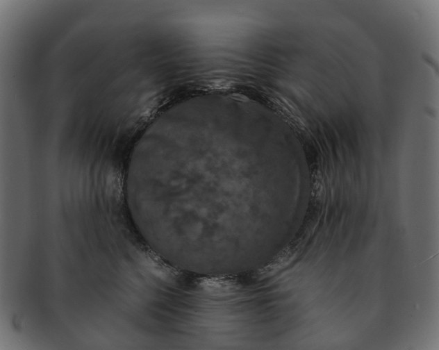 X0000091550568200709071219