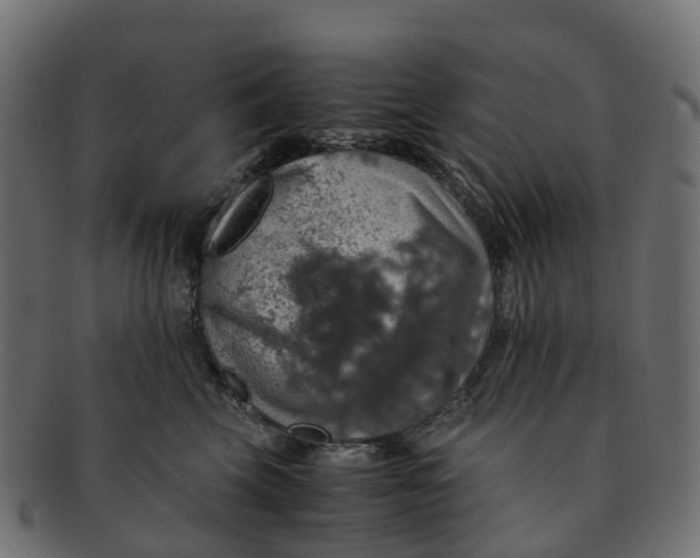 X0000091550569200709071219
