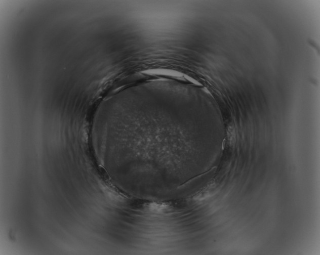 X0000091550570200709071219
