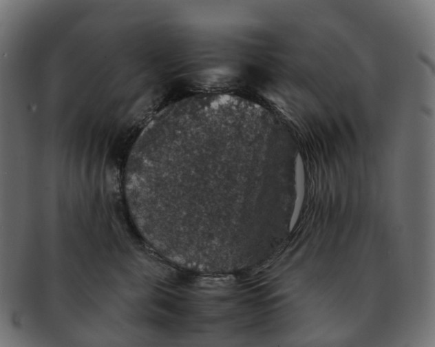 X0000091550571200709071219
