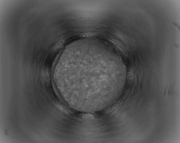 X0000091550572200709071219