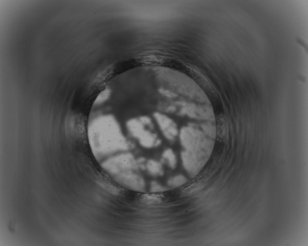 X0000091550573200709071219