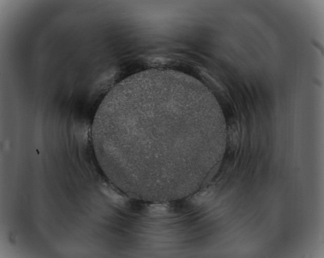 X0000091550574200709071219