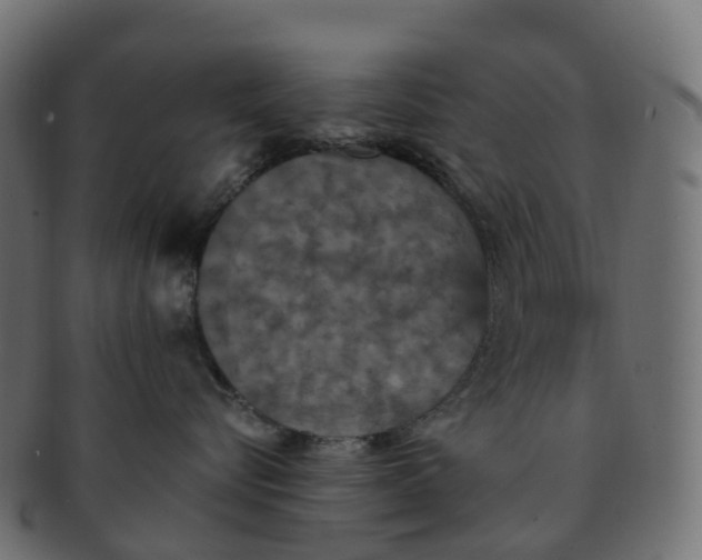X0000091550576200709071219