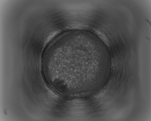 X0000091550578200709071219