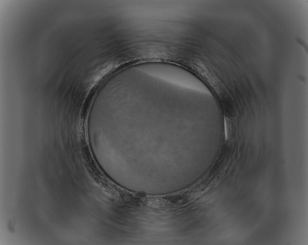 X0000091550579200709071219