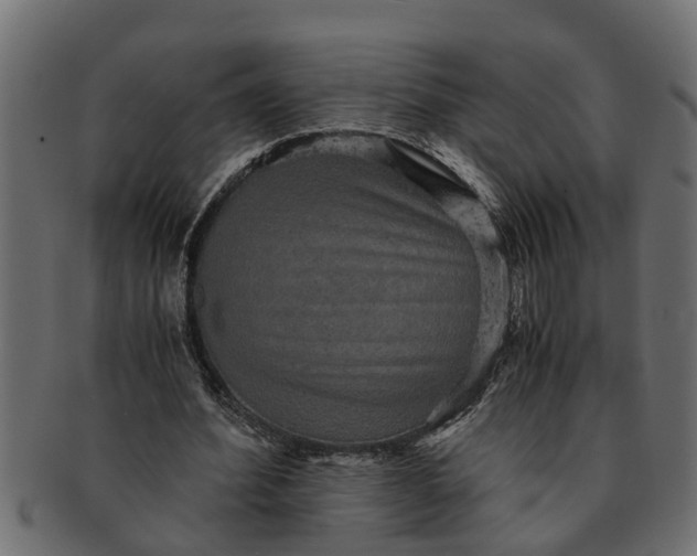 X0000091550580200709071219