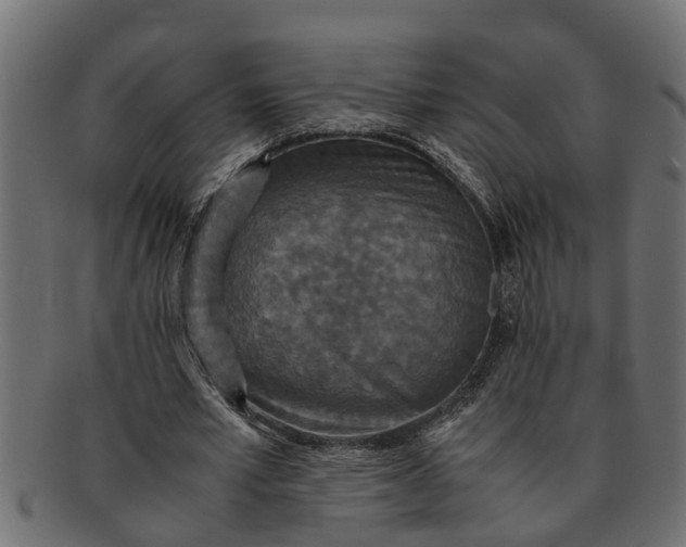 X0000091550581200709071219