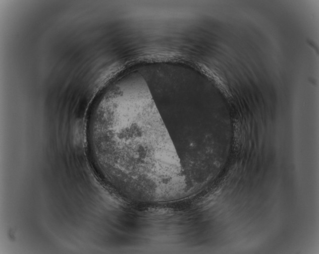 X0000091550582200709071219