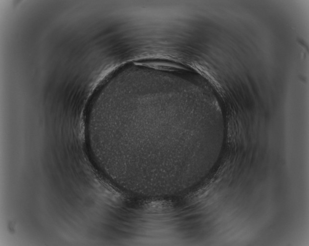 X0000091550584200709071219
