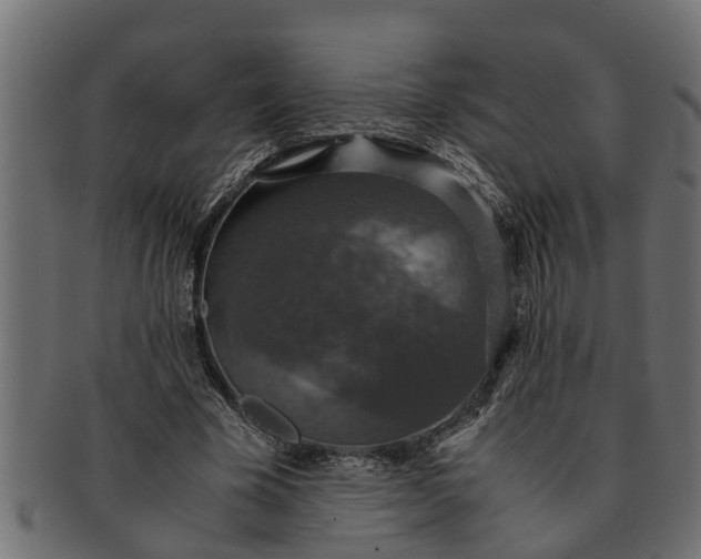 X0000091550585200709071219
