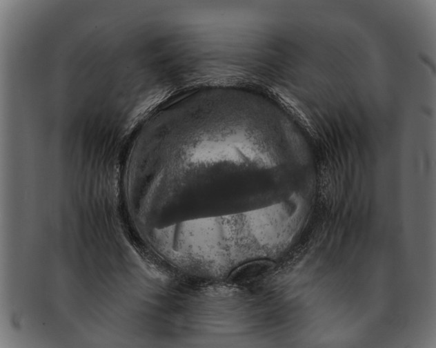 X0000091550586200709071219