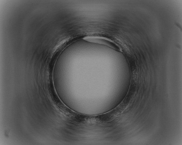 X0000091550587200709071219