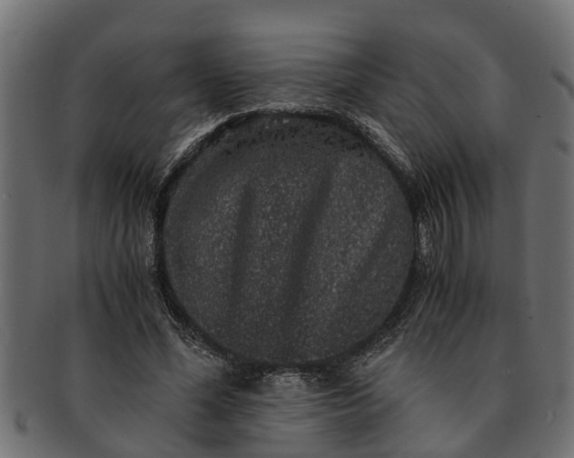 X0000091550588200709071218