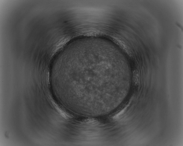 X0000091550589200709071218