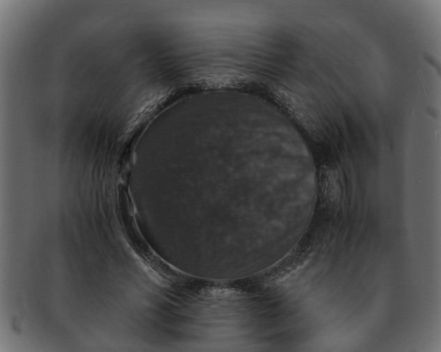 X0000091550590200709071218