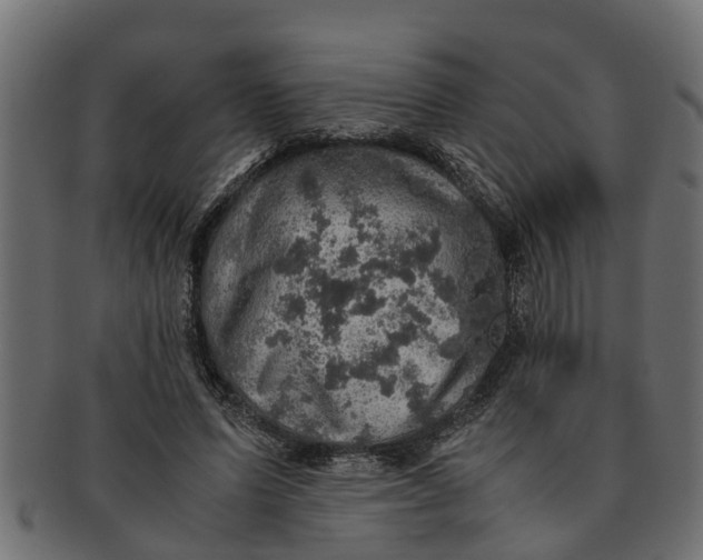 X0000091550591200709071218
