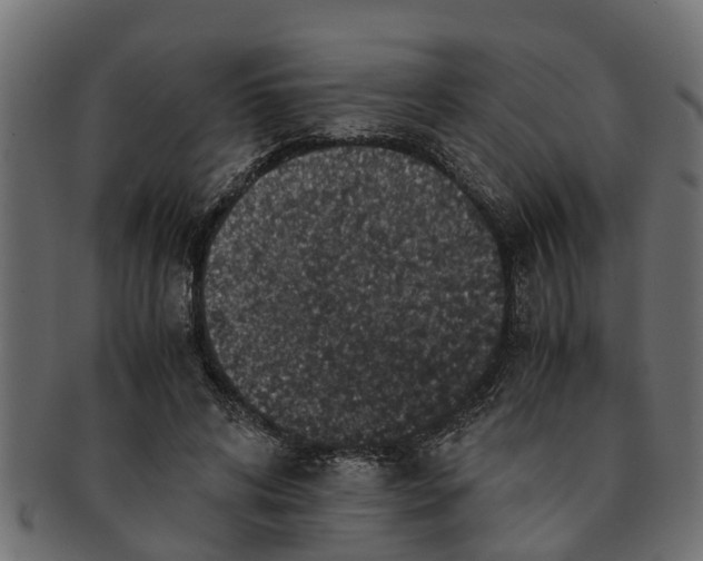 X0000091550592200709071218